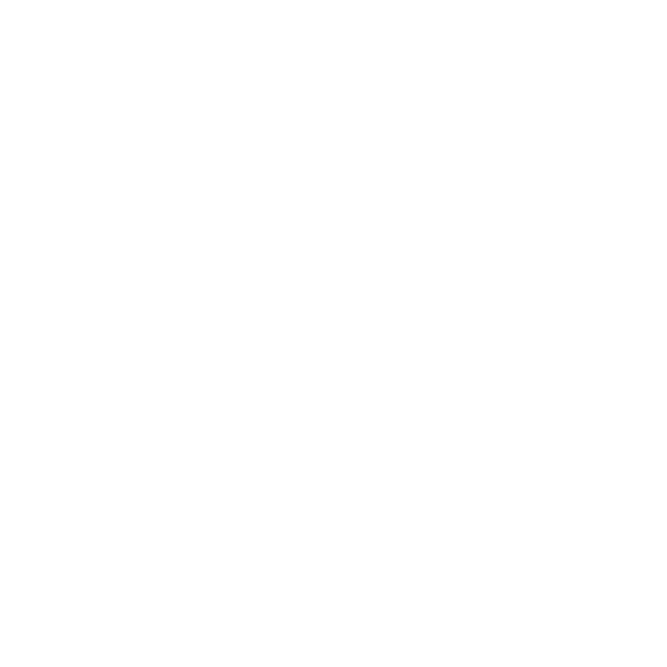 PL+ Logo des Performance Loft+
